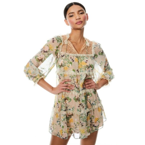 Alice and Olivia Floral Sheer Dress with Lace Details (size Medium) - Picture 1 of 10